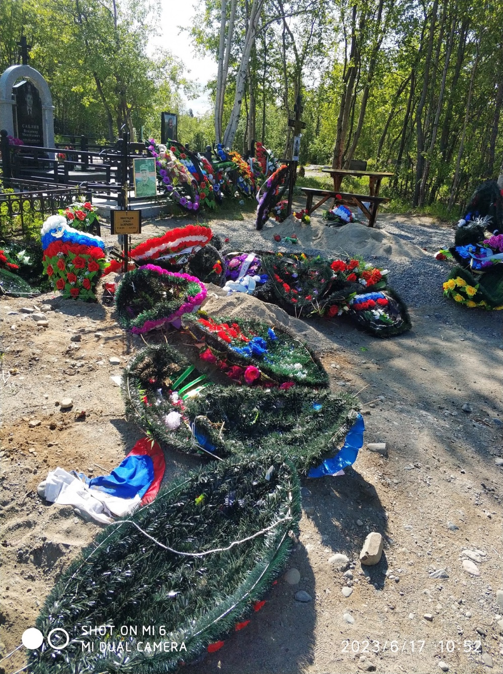 В северном городе медведь разоряет кладбище