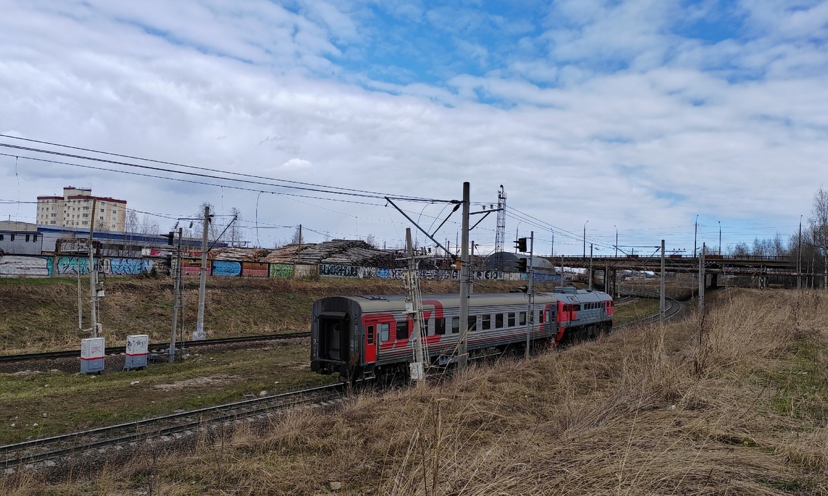 В Карелии работники поезда чудом спасли детей-