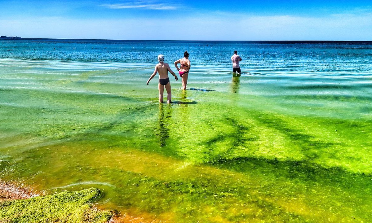 Море в Анапе летом