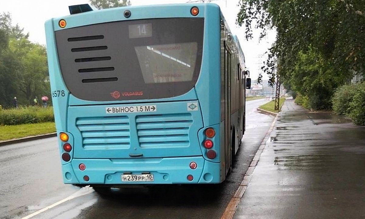 Водители выхватывают карты, хамят и ругаются матом: петрозаводчане жалуются  на работу новых автобусов