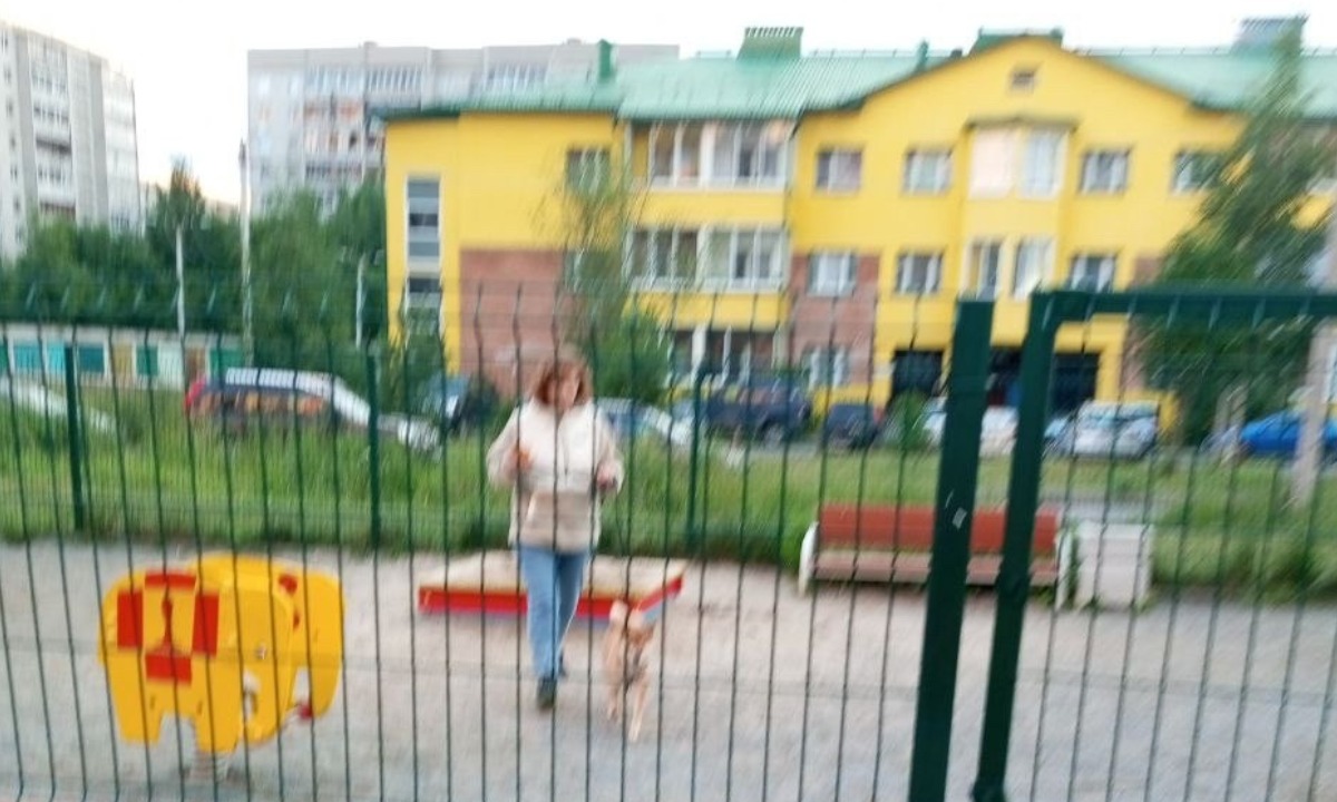 выгул собаки на детской площадке