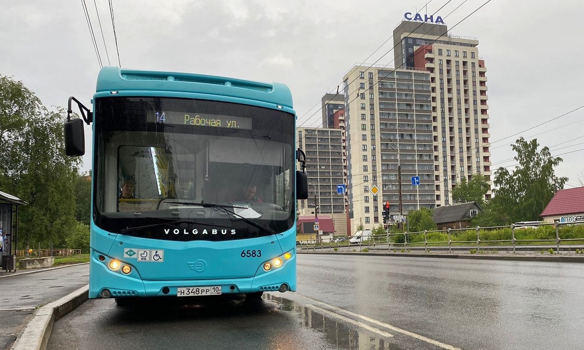 В Петрозаводске появилась горячая линия для жалоб на новые автобусы