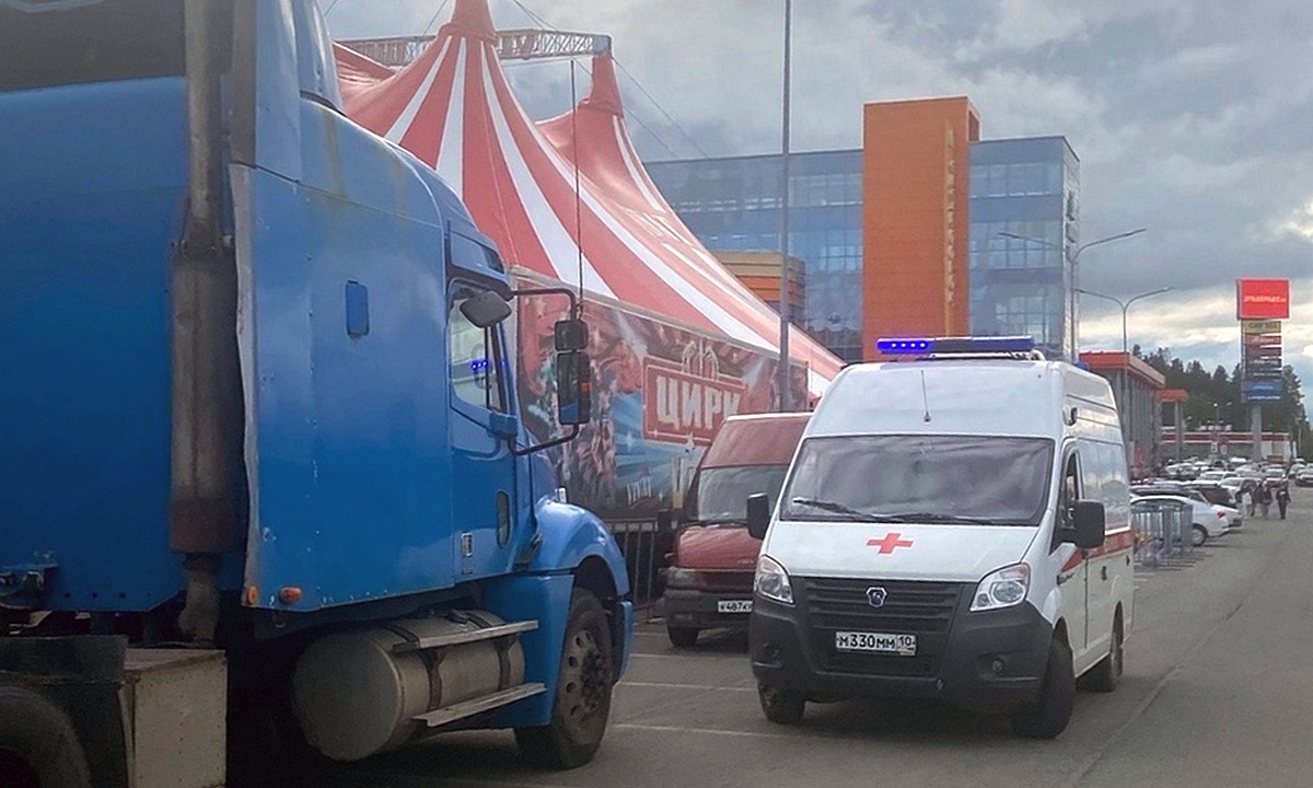 Чем завершилась проверка цирка в Петрозаводске, где медведь напал на  дрессировщицу