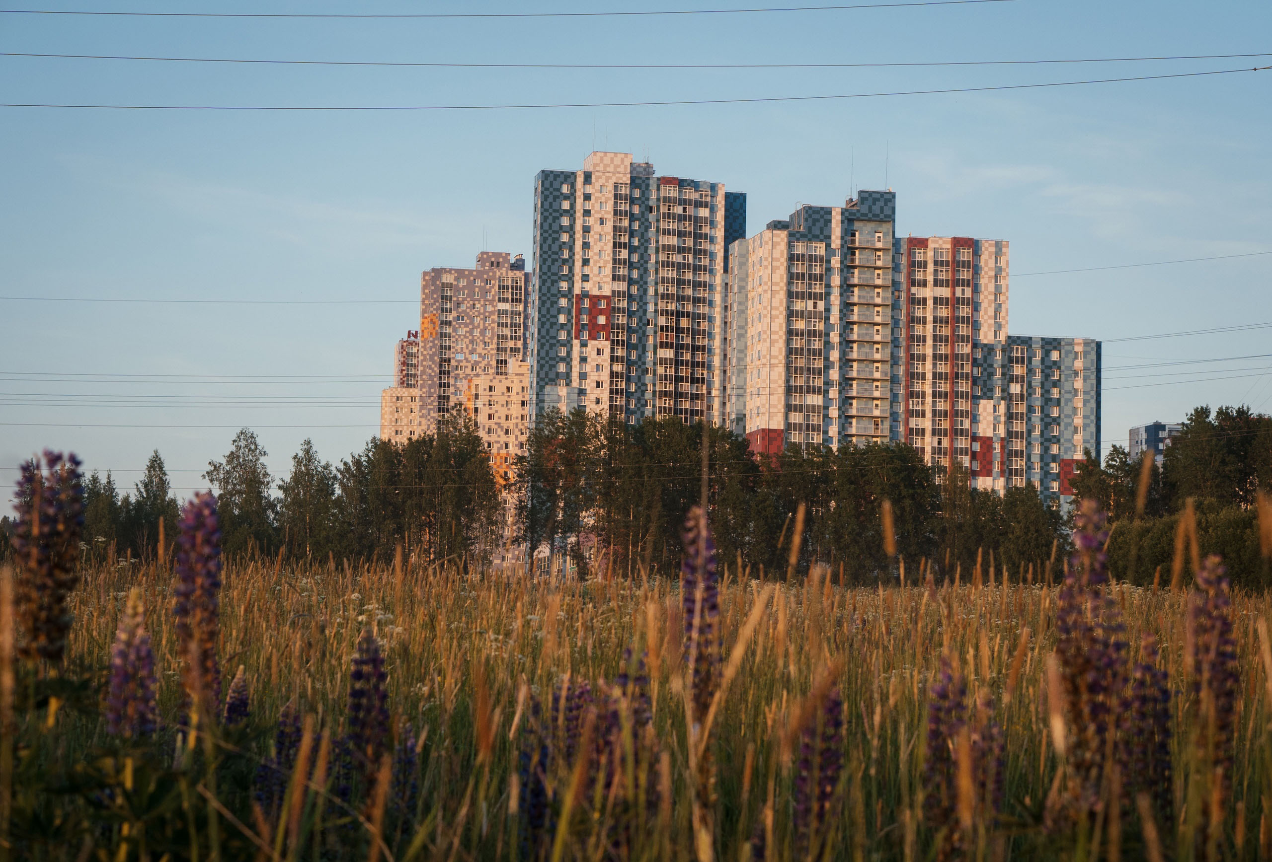 Свой дом за городом или квартира? Сравнили, где выгоднее и комфортнее жить