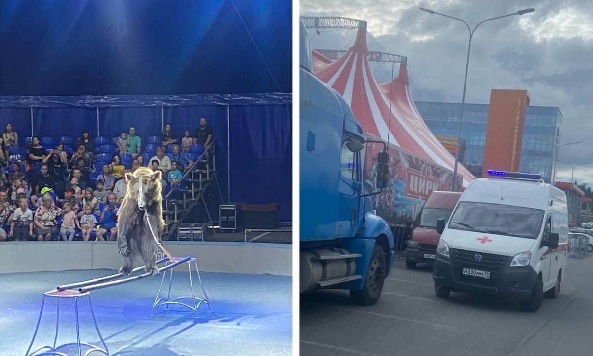 В цирке Петрозаводска заявили полиции, что медведь напал на дрессировщицу в  клетке