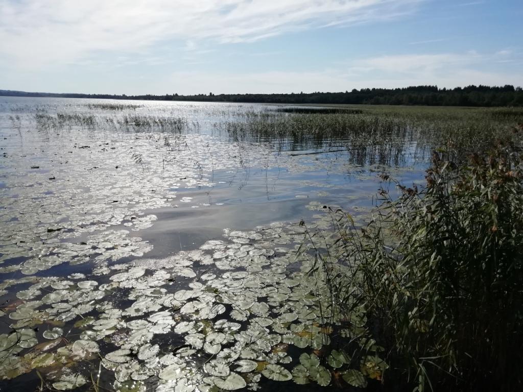 Жители карелии фото