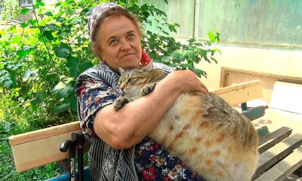 самый толстый кот России