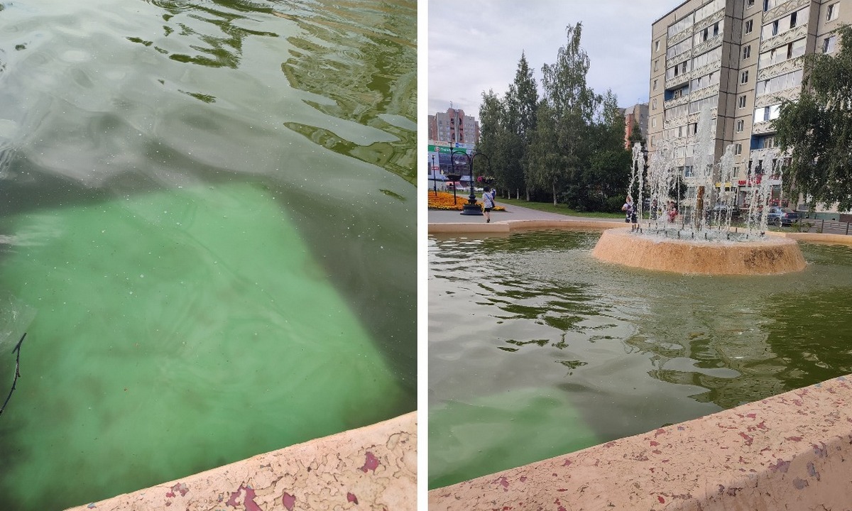 Жители Петрозаводска жалуются на вонючую воду в фонтане | 14.08.2023 |  Новости Петрозаводска - БезФормата