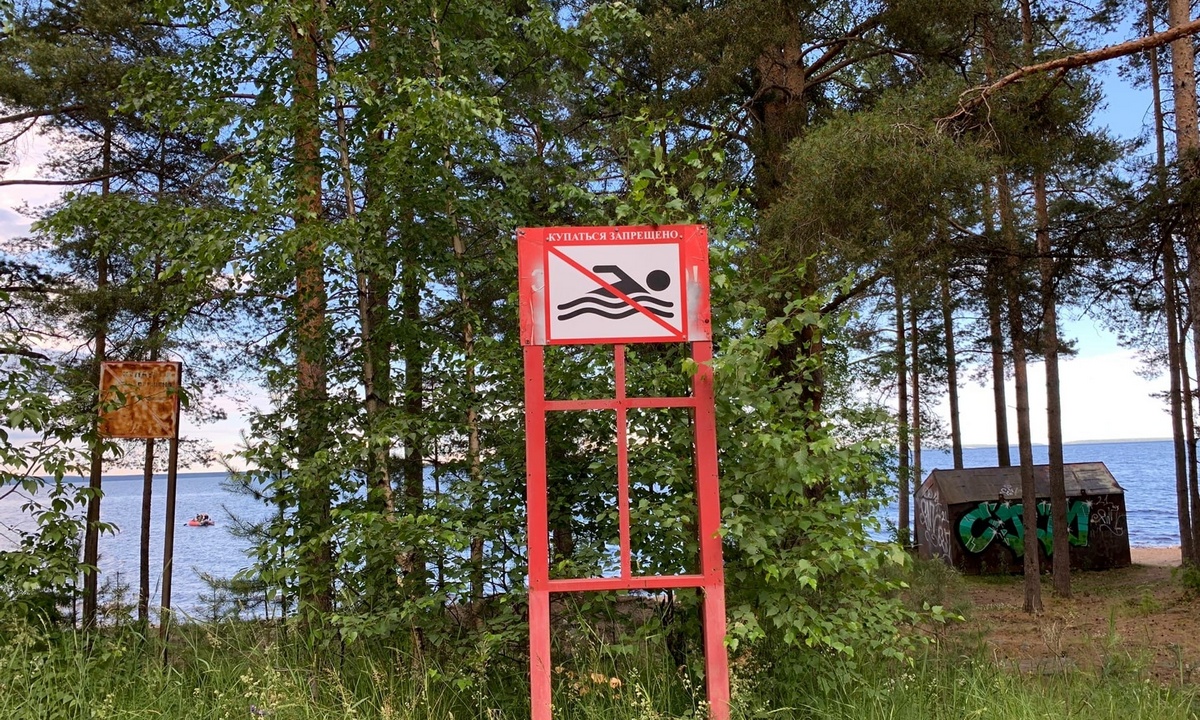 мальчики купаются 