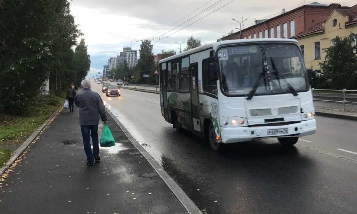 Искры и слезы из глаз посыпались»: пенсионерке повредили нос в автобусе в  Петрозаводске