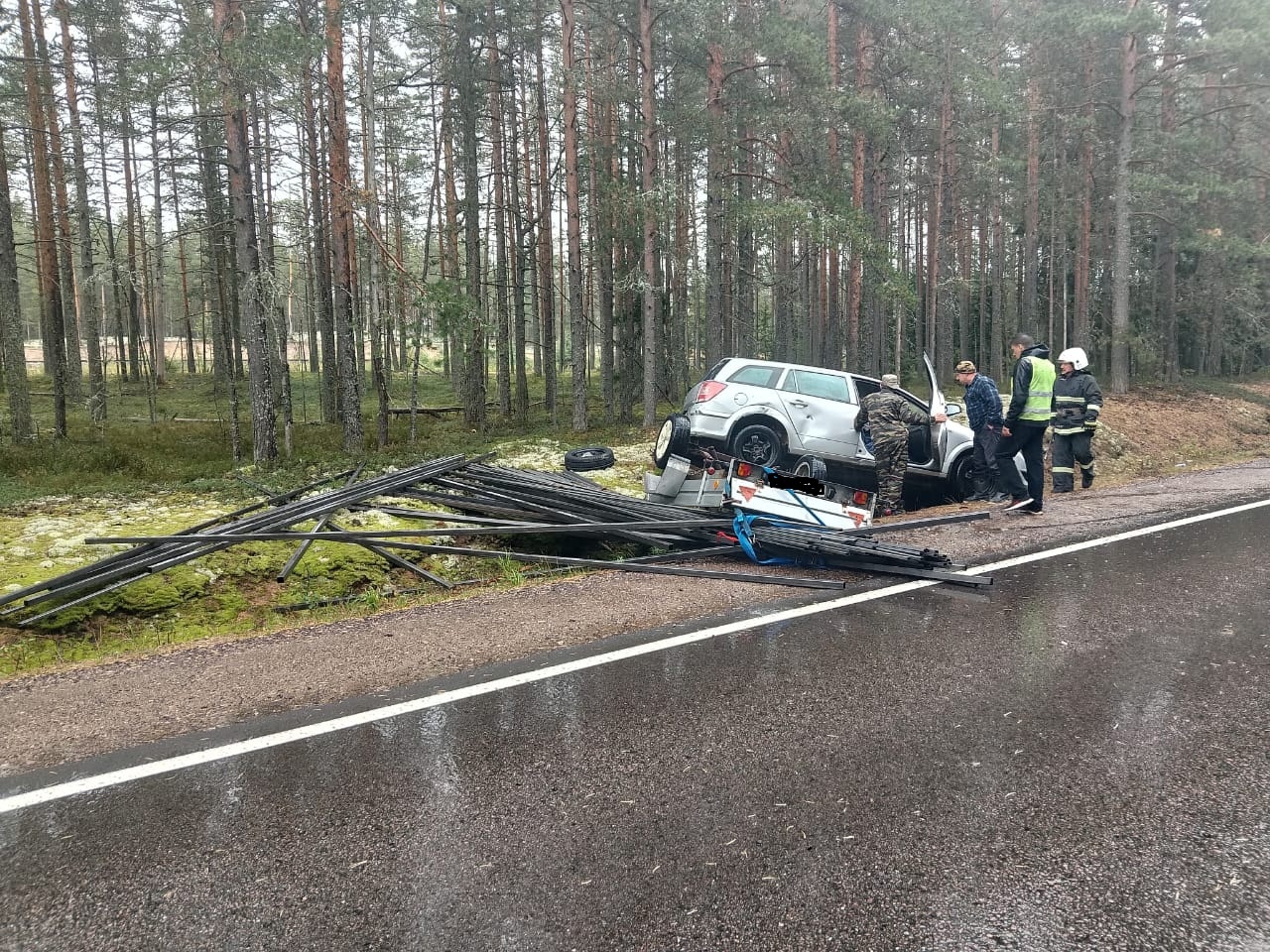 Автомобиль с железными прутьями улетел в кювет в Карелии