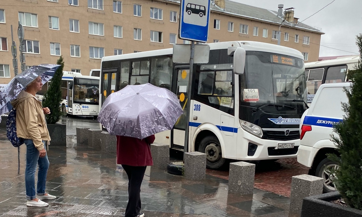 В Карелии массово отменили пригородные автобусные рейсы