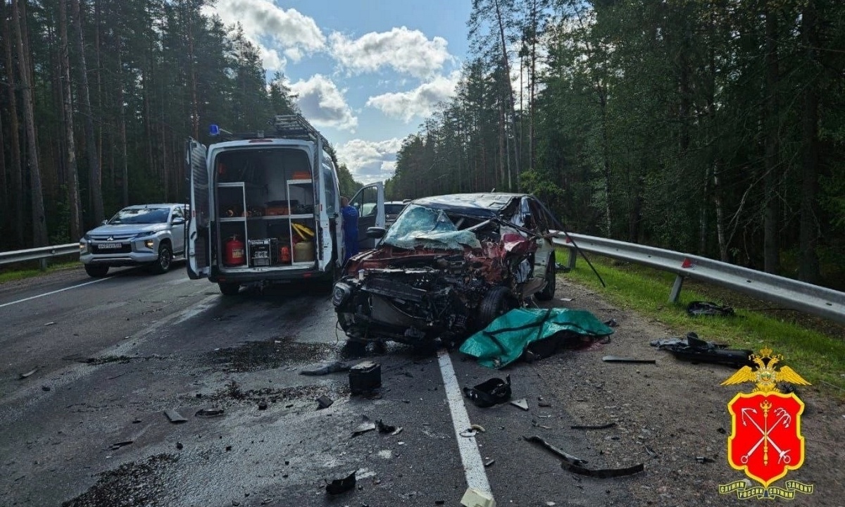 Два человека погибли в массовом ДТП на трассе «Сортавала» | 06.09.2023 |  Новости Петрозаводска - БезФормата