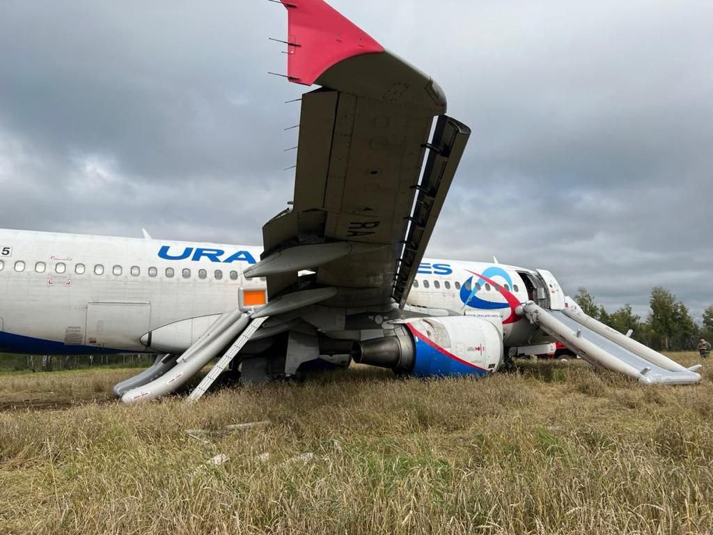 Пассажирка севшего в поле самолета рассказала про треск после взлета |  13.09.2023 | Новости Петрозаводска - БезФормата