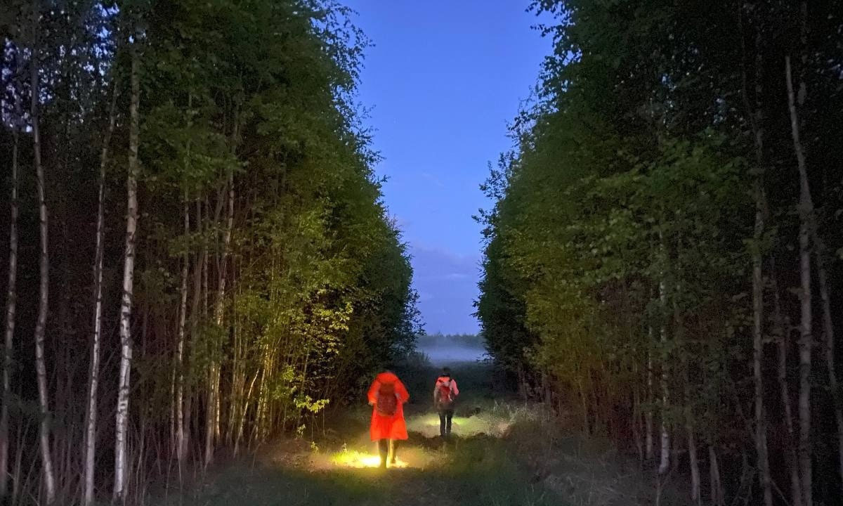 В лесах Карелии за месяц пропали почти 50 человек, трое из них погибли |  04.09.2023 | Новости Петрозаводска - БезФормата