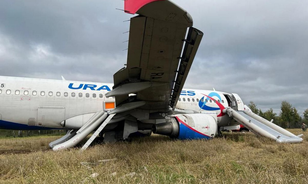 Пассажирка севшего в поле самолета рассказала про треск после взлета |  13.09.2023 | Новости Петрозаводска - БезФормата