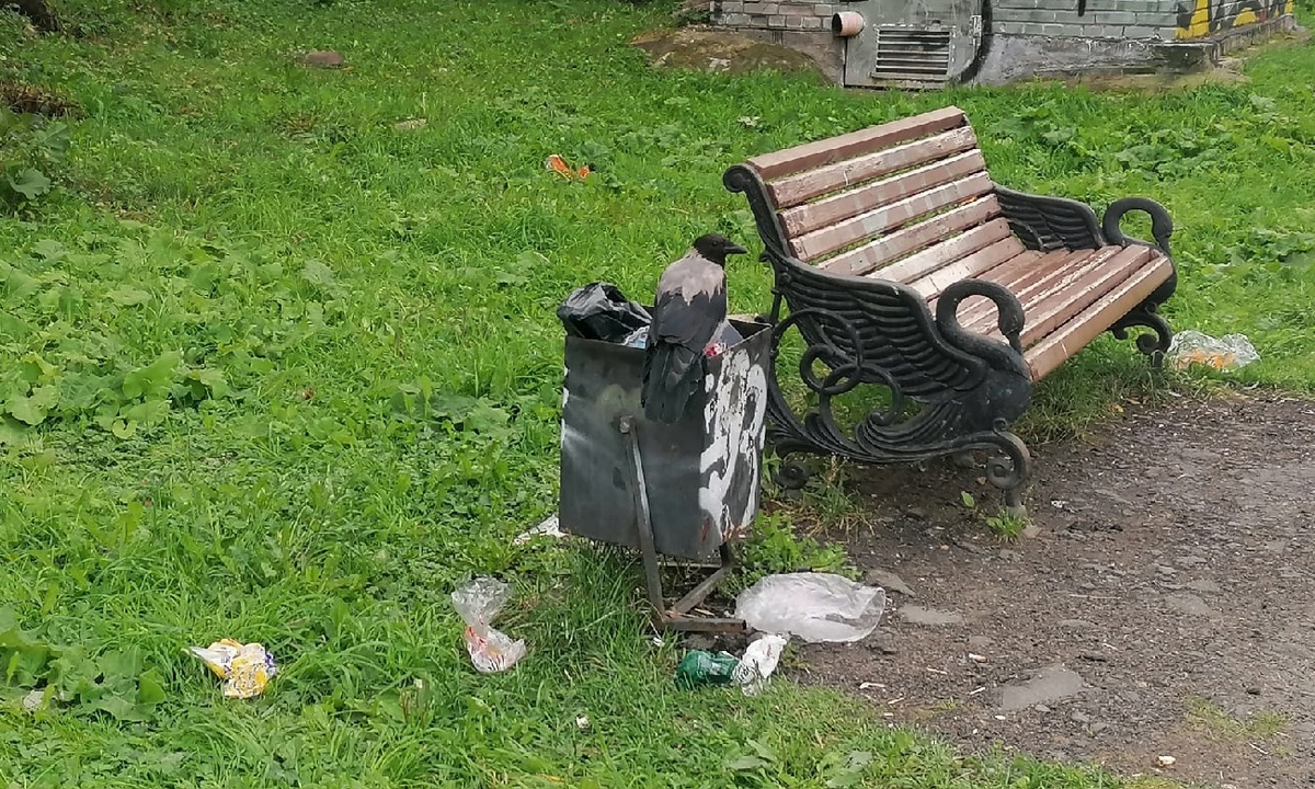 Можно ли диван выбросить на мусорку во дворе