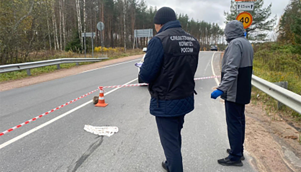 Стало известно, чью руку вчера нашли на оживленной трассе | 19.10.2023 |  Новости Петрозаводска - БезФормата