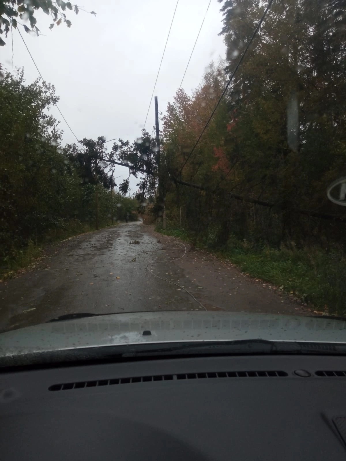 В Петрозаводске машина, в которой было семь человек, снесла светофор, уходя  от полицейской погони