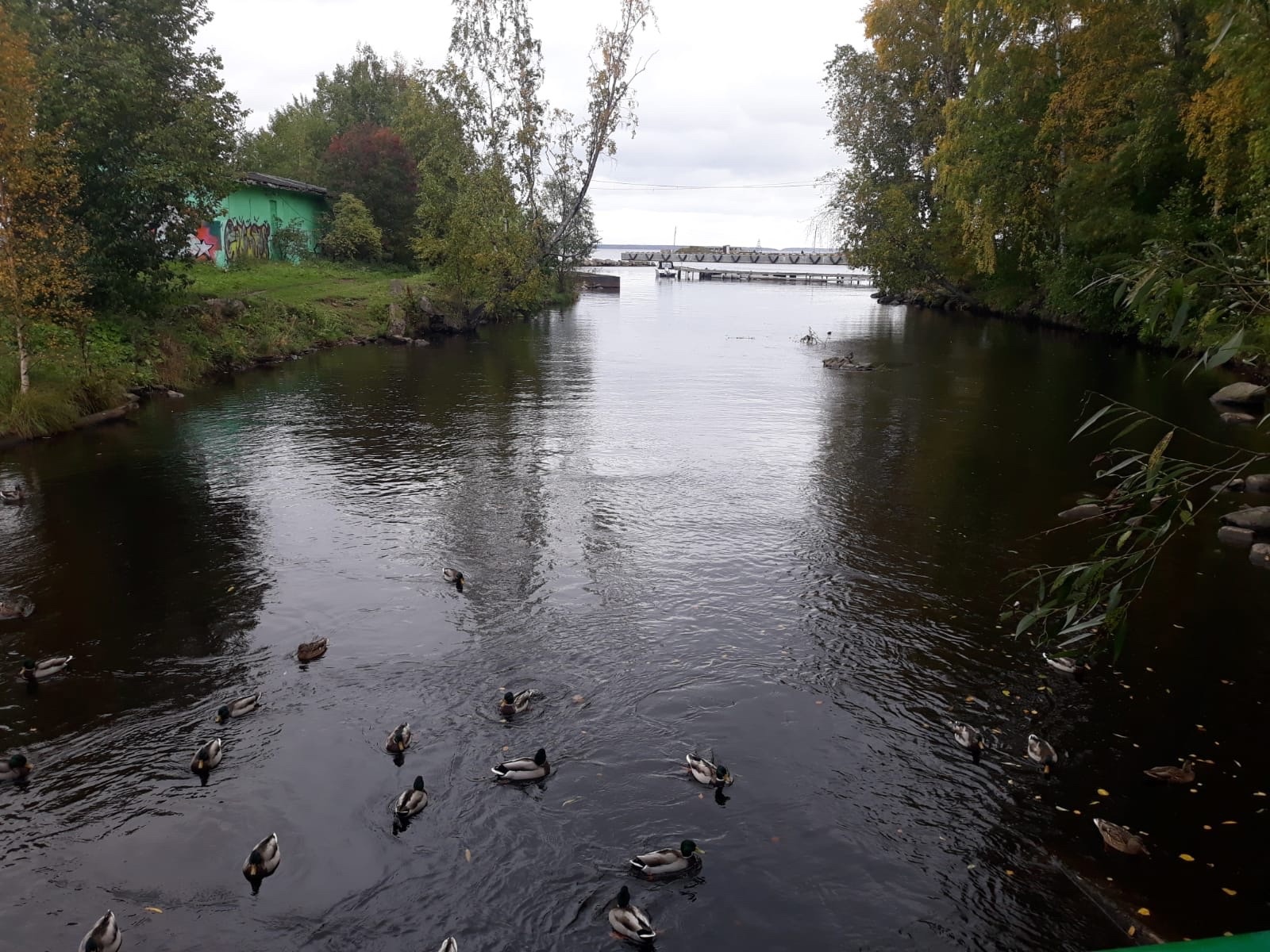 Если порвать фотографию и выкинуть