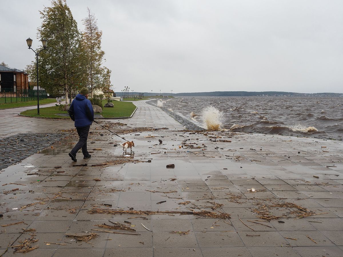 Петрозаводск набережная водослив. Стоки на набережной в Петрозаводске ну как. На берег выброшен грозою