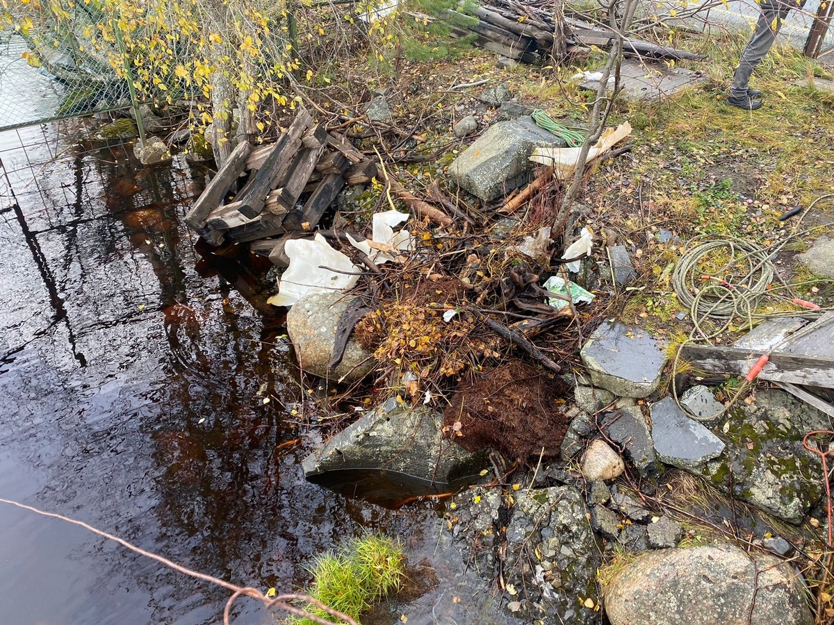 В Карелии водолаз в одиночку спас дома от потопа | 20.10.2023 | Новости  Петрозаводска - БезФормата