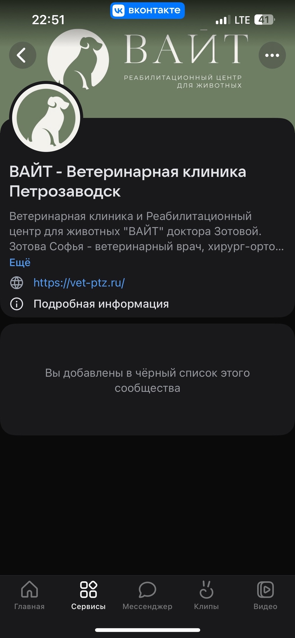 Услышали, что бороться за ее жизнь бесполезно». Петрозаводчане винят  ветклинику в смерти своей 15-летней кошки