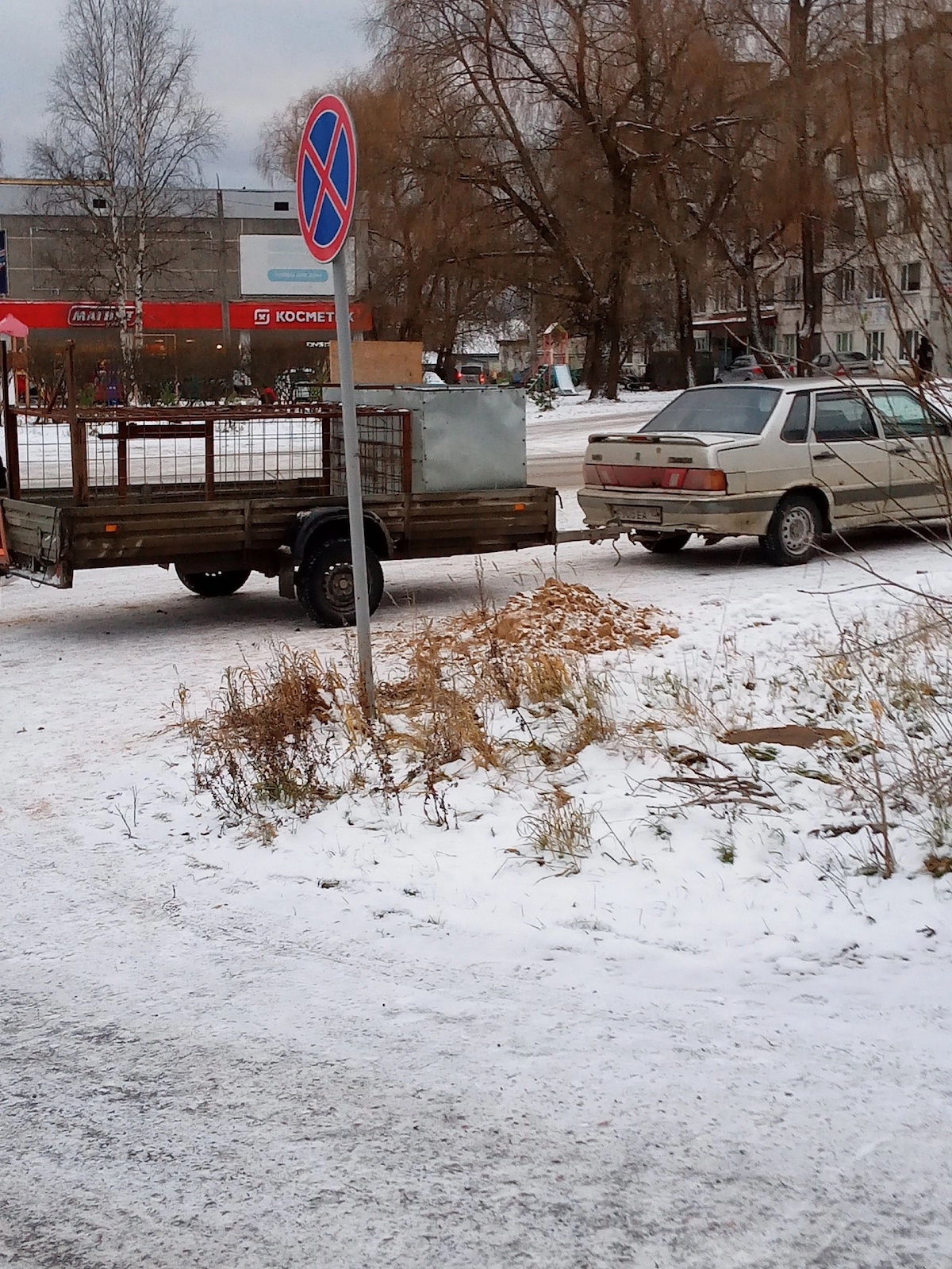 Как в концлагерь: зоозащитники из Пудожа показали, как отловленных собак в  мороз везут на стерилизацию в клетке