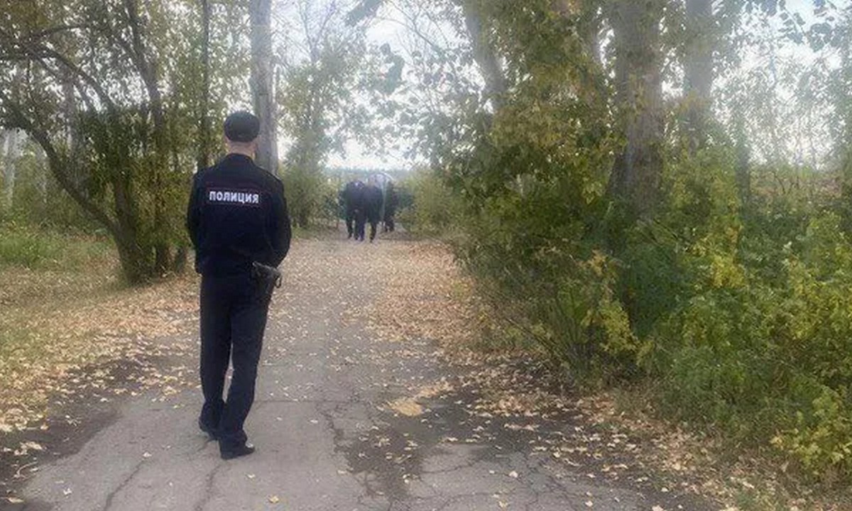 Женщина родила младенца в парке и бросила его там | 14.11.2023 | Новости  Петрозаводска - БезФормата