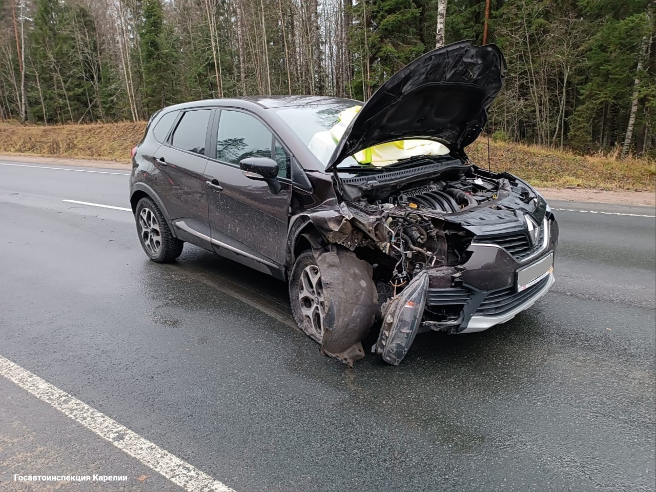 В Карелии автомобиль насмерть сбил двух лошадей