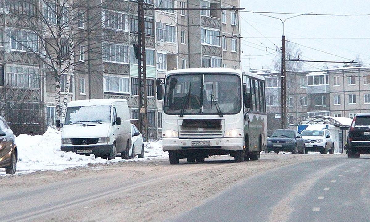 Девочку высадили из автобуса в метель, хотя она трижды оплатила проезд