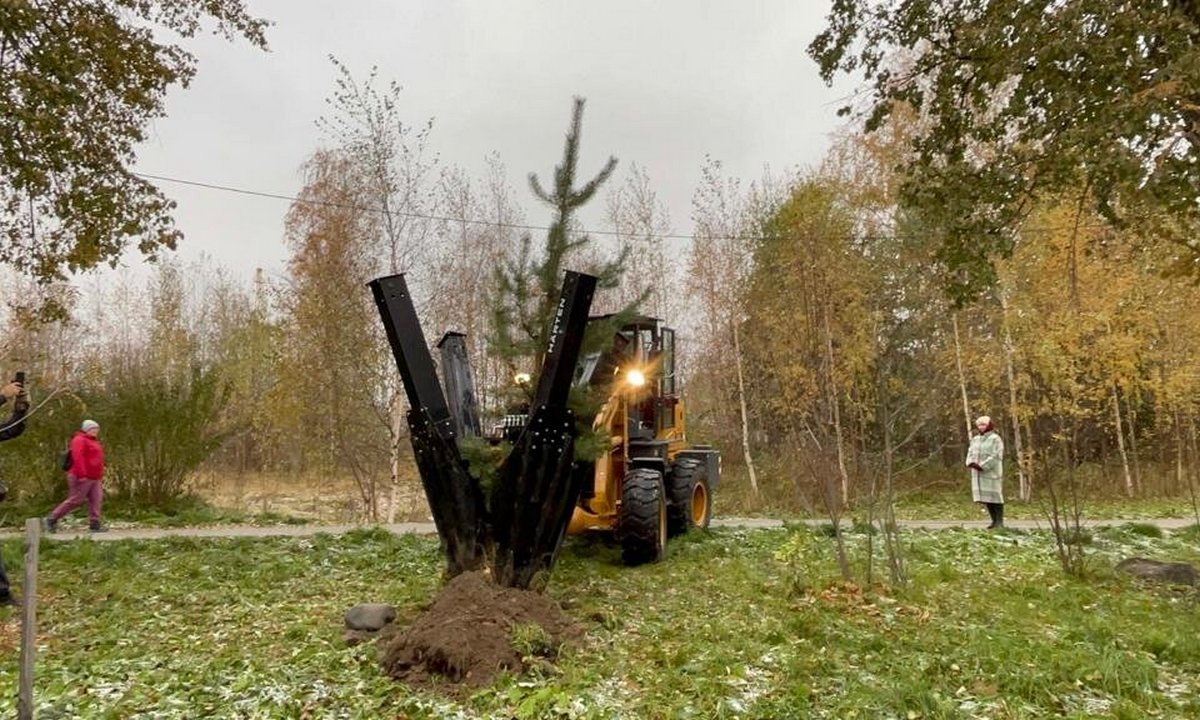 В Петрозаводске купили дорогущую машину для высадки деревьев, но работать  она не может