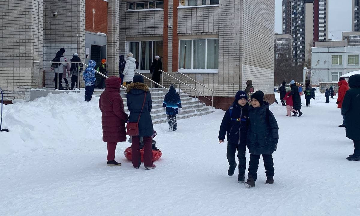 Стало известно, когда в школах полностью запретят телефоны