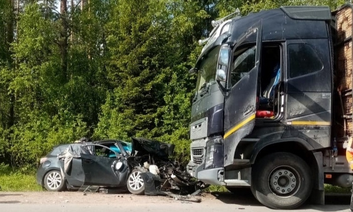 В Карелии будут судить водителя-туриста за ДТП, в котором погибли две  девушки