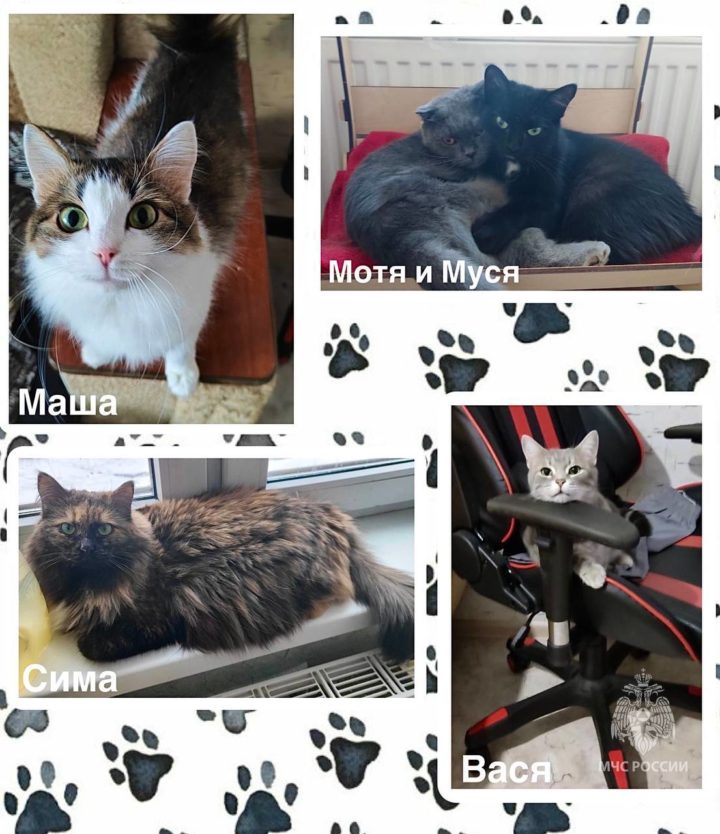 сон голодный человек