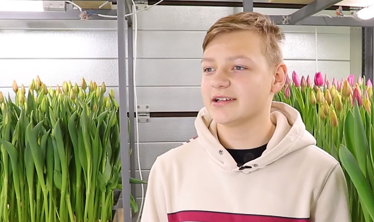 Школьник вырастил тысячи тюльпанов в гараже