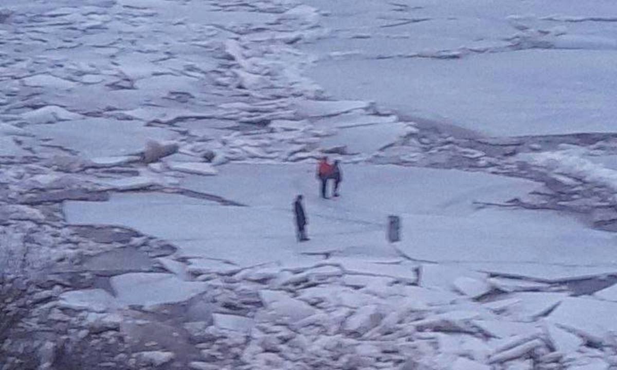 Трое детей и собака катались на льдине по реке по соседству с Карелией