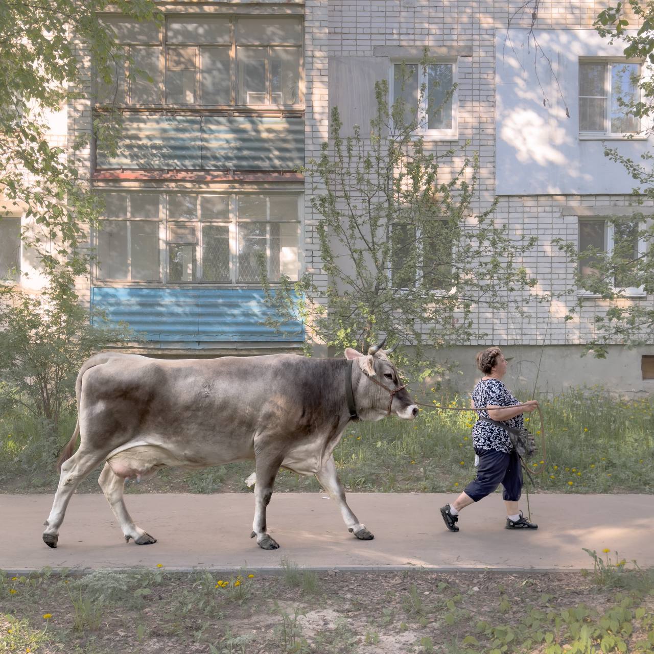 Умер известный фотограф Дмитрий Марков