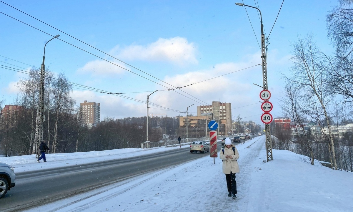 Бот в соцсетях отобрал 100 тысяч у жительницы Петрозаводска