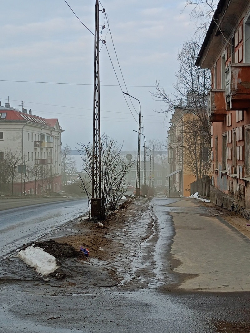 Трудно дышать, начинает першить в горле»: жители Петрозаводска массово  пожаловались на запах гари