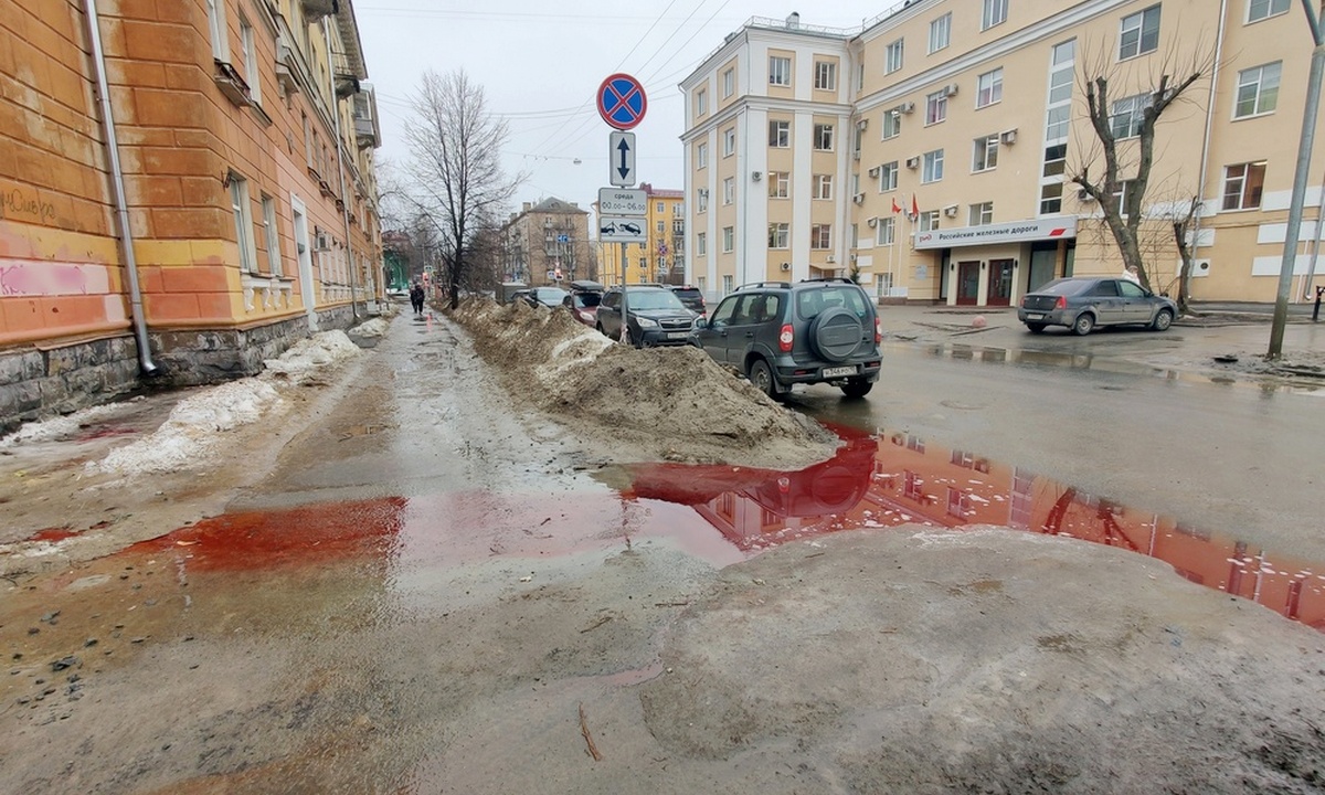 Кровавая» лужа впечатлила петрозаводчан