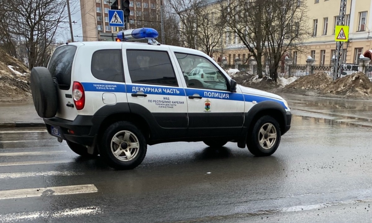 Водитель, сбивший человека под Петрозаводском, спрятал машину в лесу