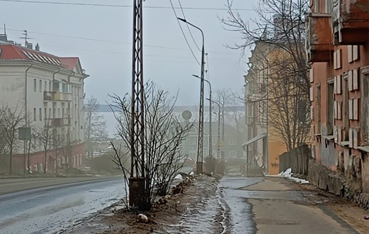 Трудно дышать, начинает першить в горле»: жители Петрозаводска массово  пожаловались на запах гари