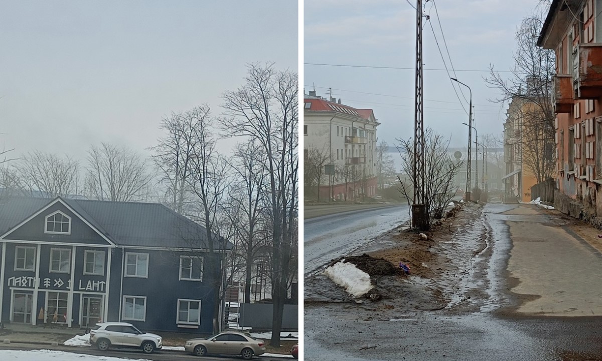 До кашля с хрипотой». Жители Петрозаводска продолжают жаловаться на запах  гари | 02.04.2024 | Новости Петрозаводска - БезФормата