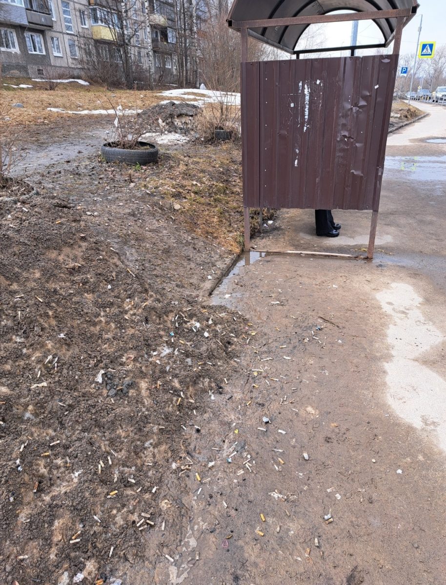 Чиновники признали, что лишь некоторые улицы Петрозаводска чистят от ...