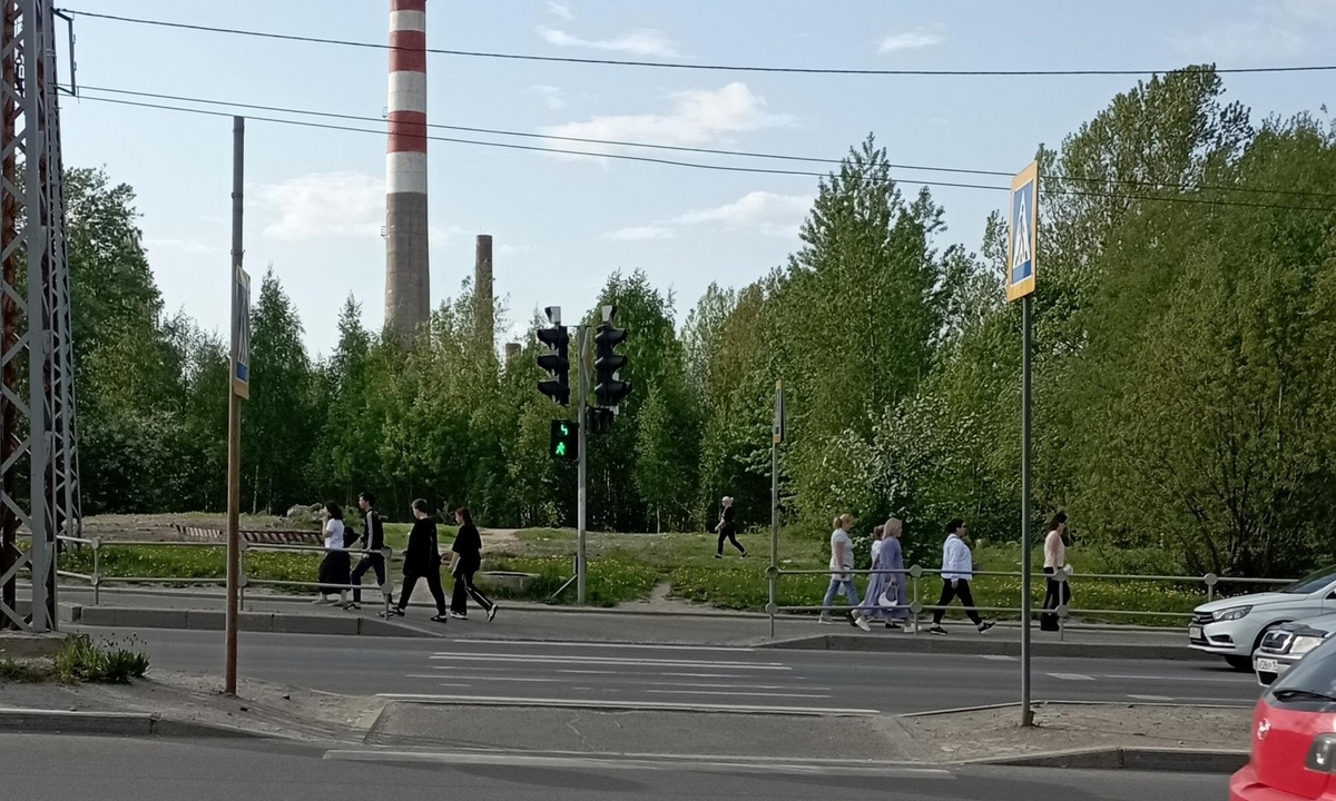 Женщина сбила двух пешеходов в Петрозаводске | 29.05.2024 | Новости  Петрозаводска - БезФормата