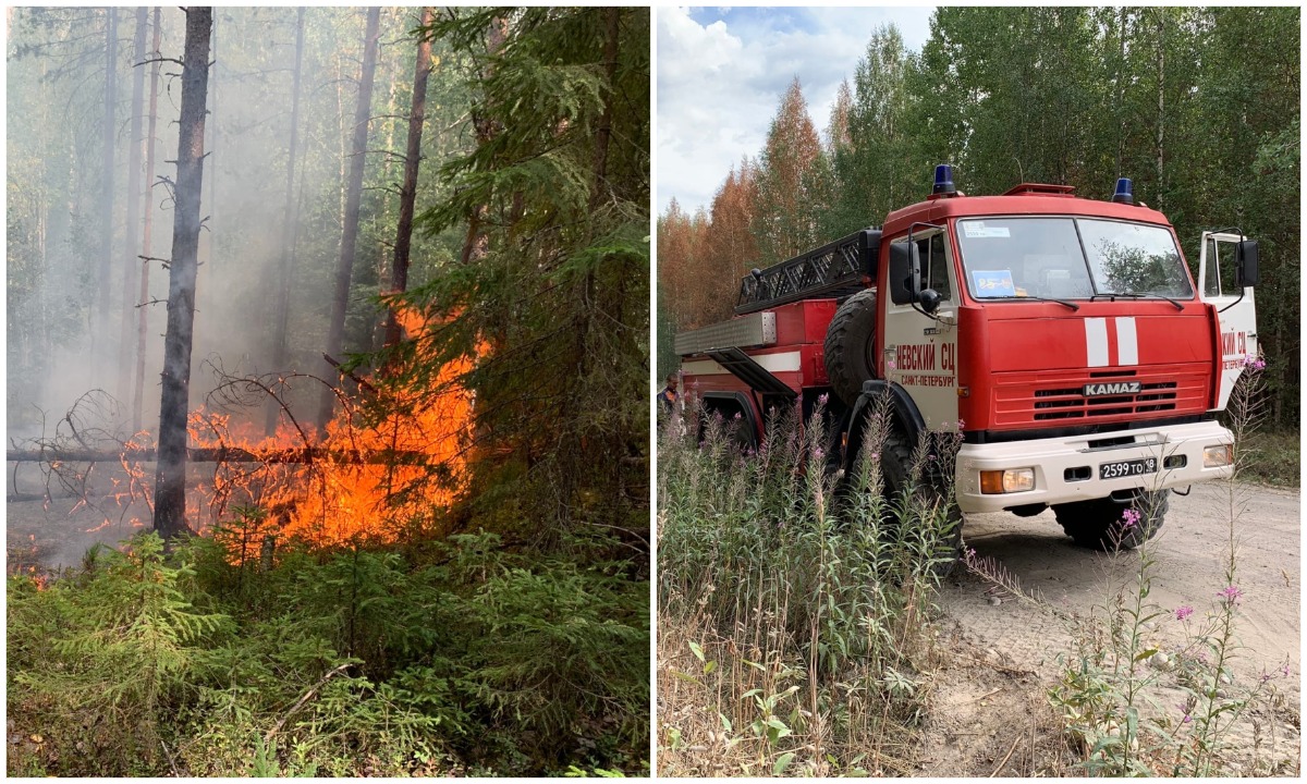 В Карелии не хватает пожарных машин для тушения лесных пожаров