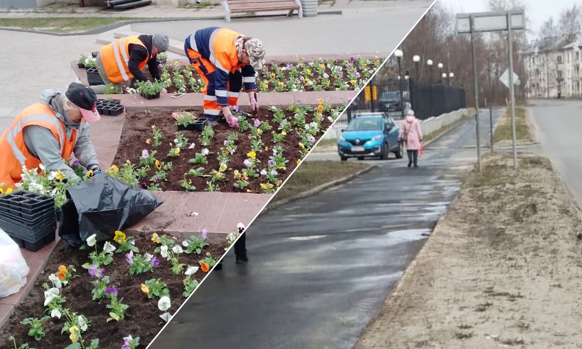 В Петрозаводске сажают цветы: горожане просят сначала убрать смет и песок