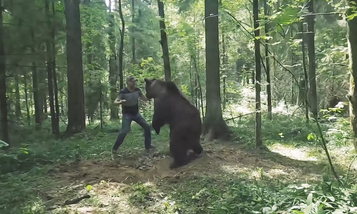 Медведь напал на мужчину в лесу