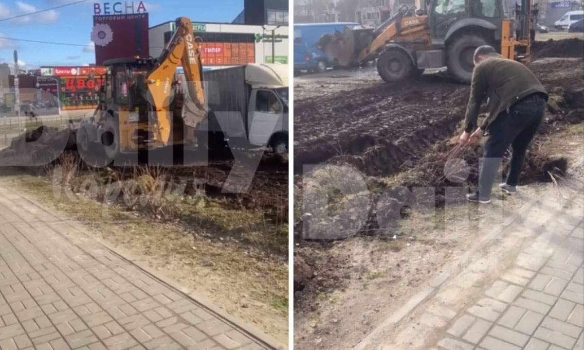 В Петрозаводске уничтожили газон и деревья, которые недавно посадили, чтобы поставить ларьки